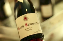 春糖风口，勃艮第集结于名庄酒先知！