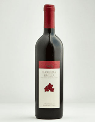巴贝拉艾米利亚干红葡萄酒750ml（葡萄年份2010） 