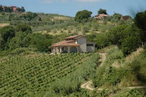   Azienda vinicola con borgo in vendita in Toscana