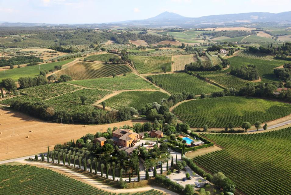   Azienda vinicola con borgo in vendita in Toscana